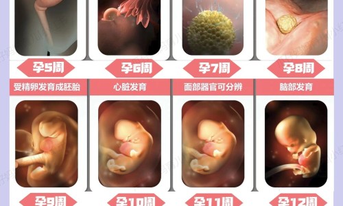 喝蜂蜜身上发麻网 | 喝完蜂蜜水腿发麻怎么回事,吃了蜂蜜身上痒怎么办啊